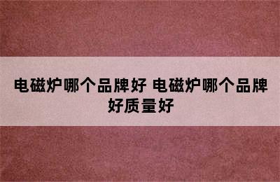 电磁炉哪个品牌好 电磁炉哪个品牌好质量好